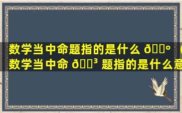 数学当中命题指的是什么 🌺 （数学当中命 🐳 题指的是什么意思）